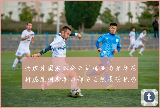 西班牙国家队公开训练亚马尔与尼科威廉姆斯参与部分合练展现状态