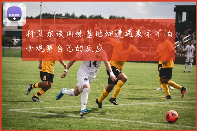 科贝尔谈训练基地蛇遭遇表示不怕会观察自己的反应